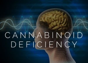 Endocannabinoid Deficiency Syndrome