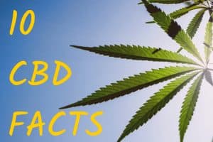 marijuana leaf with "10 CBD Facts" written next to it
