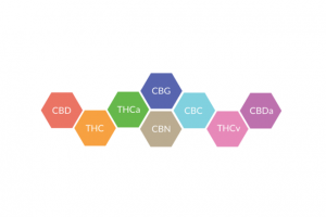 colorful hexagons with different cannabinoid abbreviations