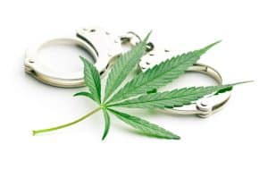 marijuana leaf on top of hand cuffs