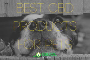 Vector Graphic lettering of "BEST CBD PRODUCTS FOR PETS" supermiposed over an image of a dog's face