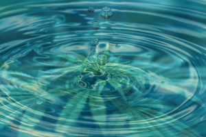 Image of water droplets causing ripples on a water surface