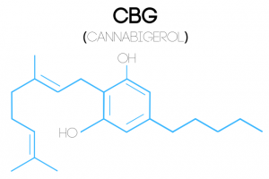 An illustration of a Cannabigerol (CBG) molecular structure