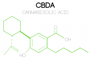 an illustration of CBDA's (cannabidiolic acid) molecular structure
