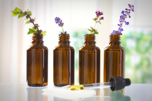 CBD Oil bottles filled with oil with essential oil-producing plant stems placed in them