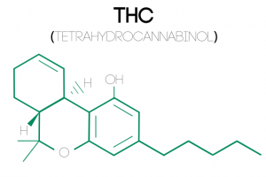 an illustration of Tetrahydrocannabinol's (THC) molecular structure