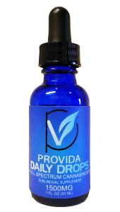 Provida Health Logo