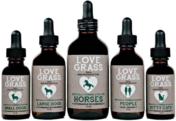 Love Grass™ Logo