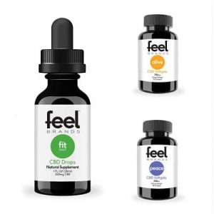 Feel Brands Logo