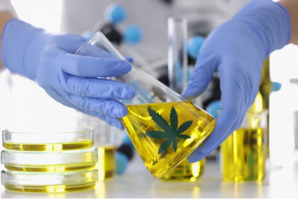 Potential Contaminants in CBD Oil: What You Need to Know