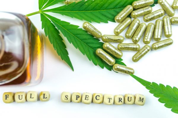What is Full Spectrum CBD? What You Need to Know...