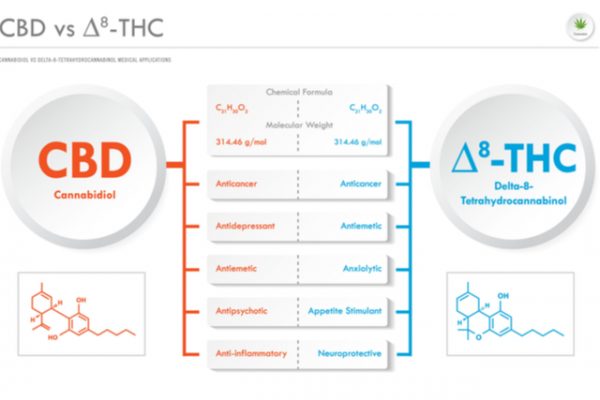 What’s the difference between buying delta 8 and buying CBD?