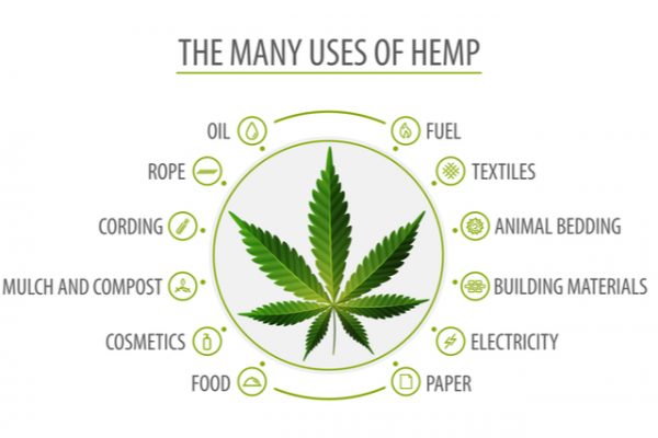 How Hemp Production Benefits the Environment